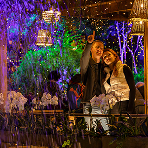 Aangepaste openingstijden Pantropica