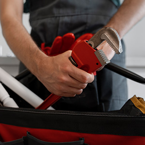 Vacatures in Pantropica